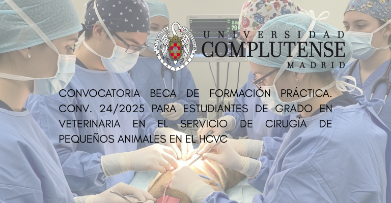 Conv. 24/2025 para el Servicio de Cirugía de pequeños animales en el HCVC